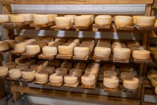 Affinage des fromages : ce qui se passe en cave