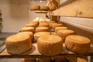 Fromage d'alpage : ce qui le distingue