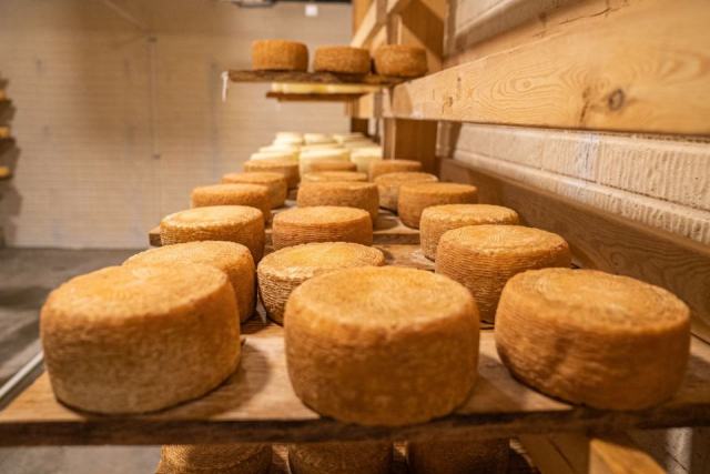 Le fromage d'alpage : fabriqué en été sur l'alpage, au chaudron de cuivre, avec le lait des hauts pâturages Le fromage d'alpage : fabriqué en été sur l'alpage, au chaudron de cuivre, avec le lait des hauts pâturages