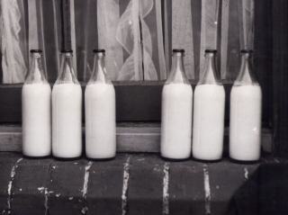 Lait pasteurisé, UHT ou microfiltré : les écarts