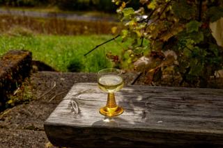 Petite Arvine : le blanc salin du Valais