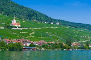 Neuchâtel, son vignoble et l'Œil-de-Perdrix