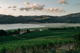 Le Vully, petit vignoble entre deux lacs