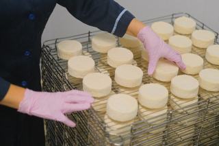 Visiter une fromagerie : quand et comment