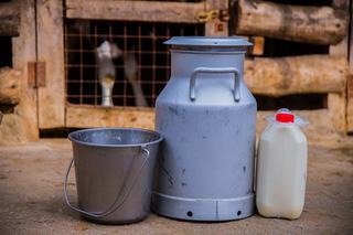 Lait cru, thermisé ou pasteurisé ?