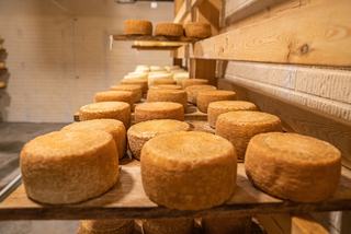 Fromage d'alpage : ce qui le distingue