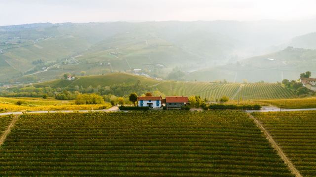 Les vins de Genève : Mandement, Gamay, Gamaret et Garanoir dans la campagne genevoise Les vins de Genève : Mandement, Gamay, Gamaret et Garanoir dans la campagne genevoise