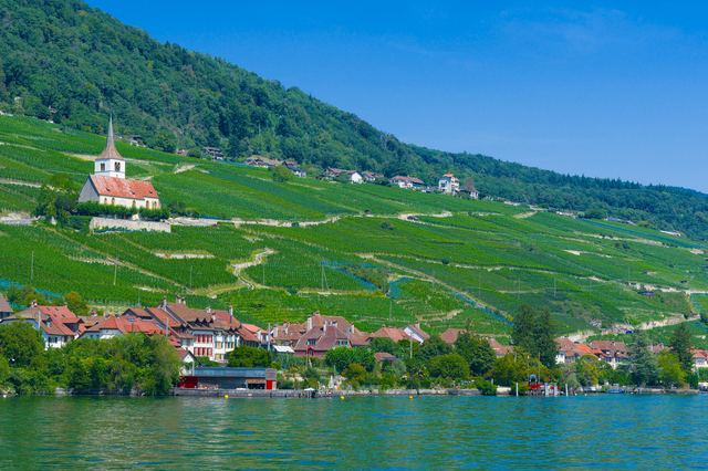 Les vins de Neuchâtel, entre lac et Jura : Chasselas, Pinot noir et Œil-de-Perdrix Les vins de Neuchâtel, entre lac et Jura : Chasselas, Pinot noir et Œil-de-Perdrix
